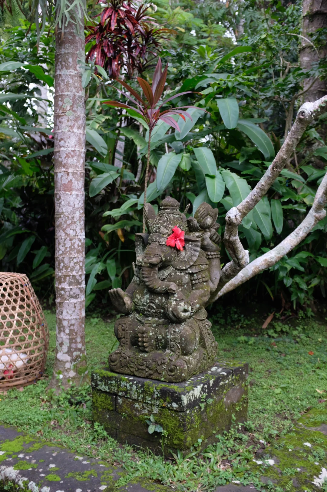 過期旅行日常•ɪɴ Bᴀʟɪ