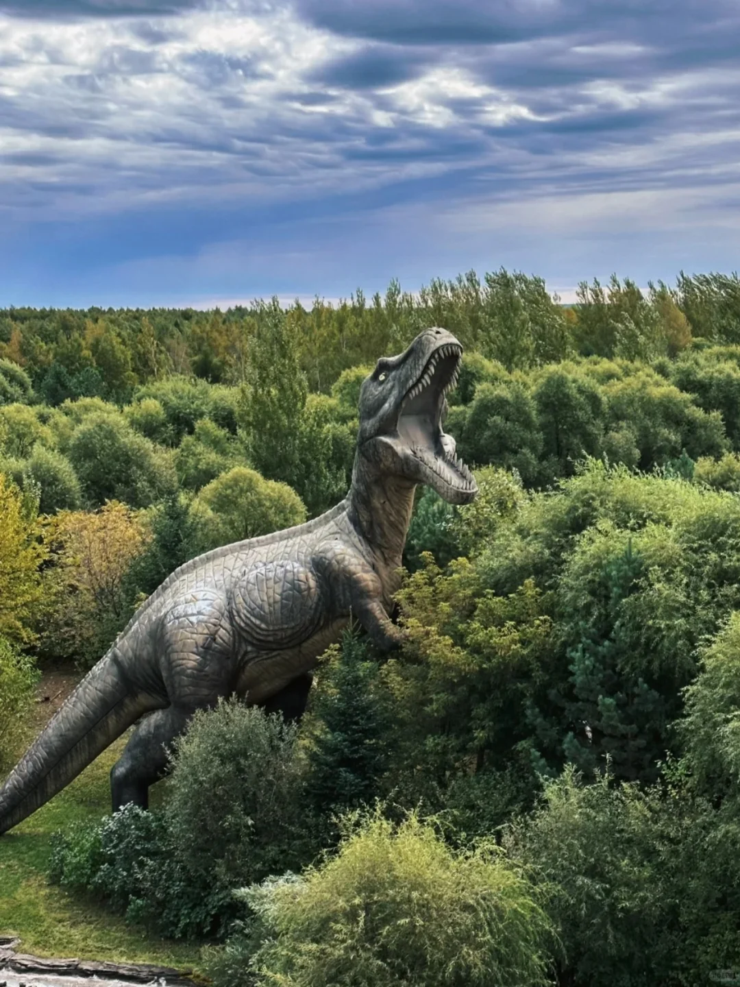 伊春旅游攻略！来了不踩雷！