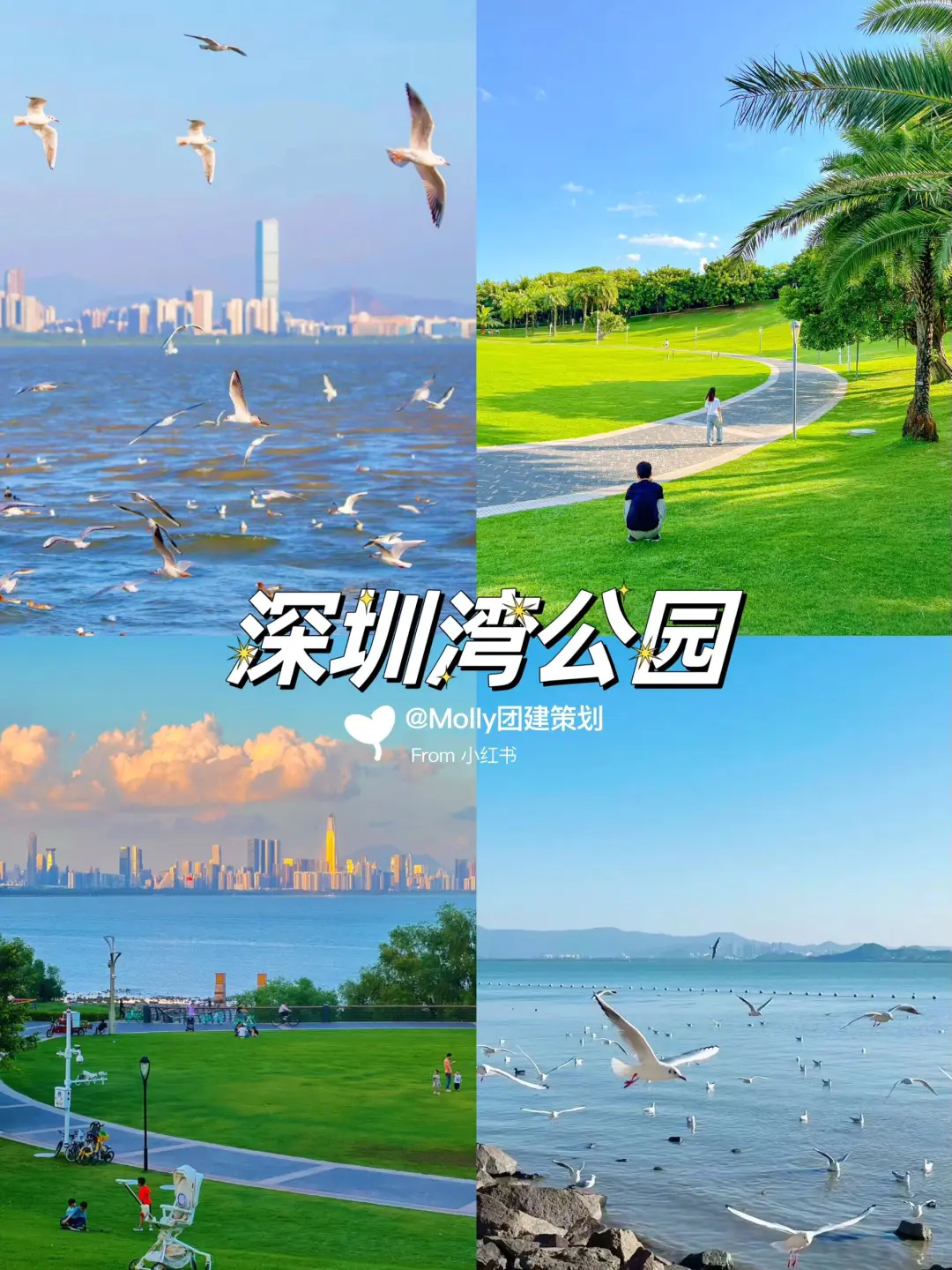 深圳周末去哪儿 | 必打卡的11个宝藏景点