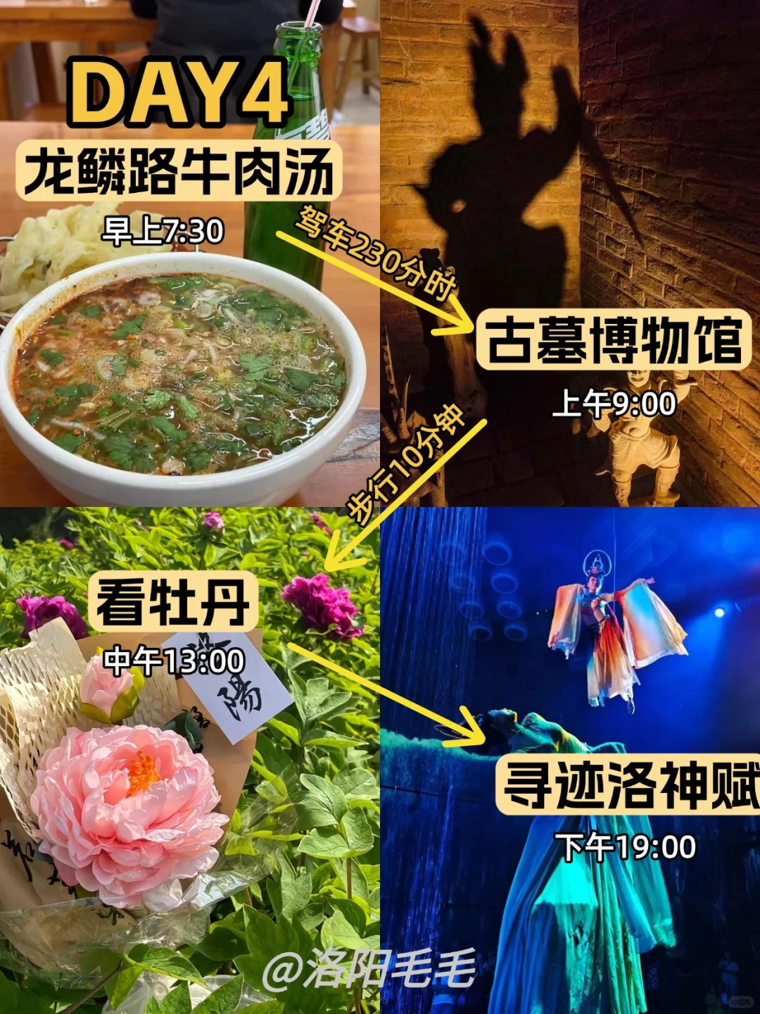 洛阳旅游超全避坑攻略！