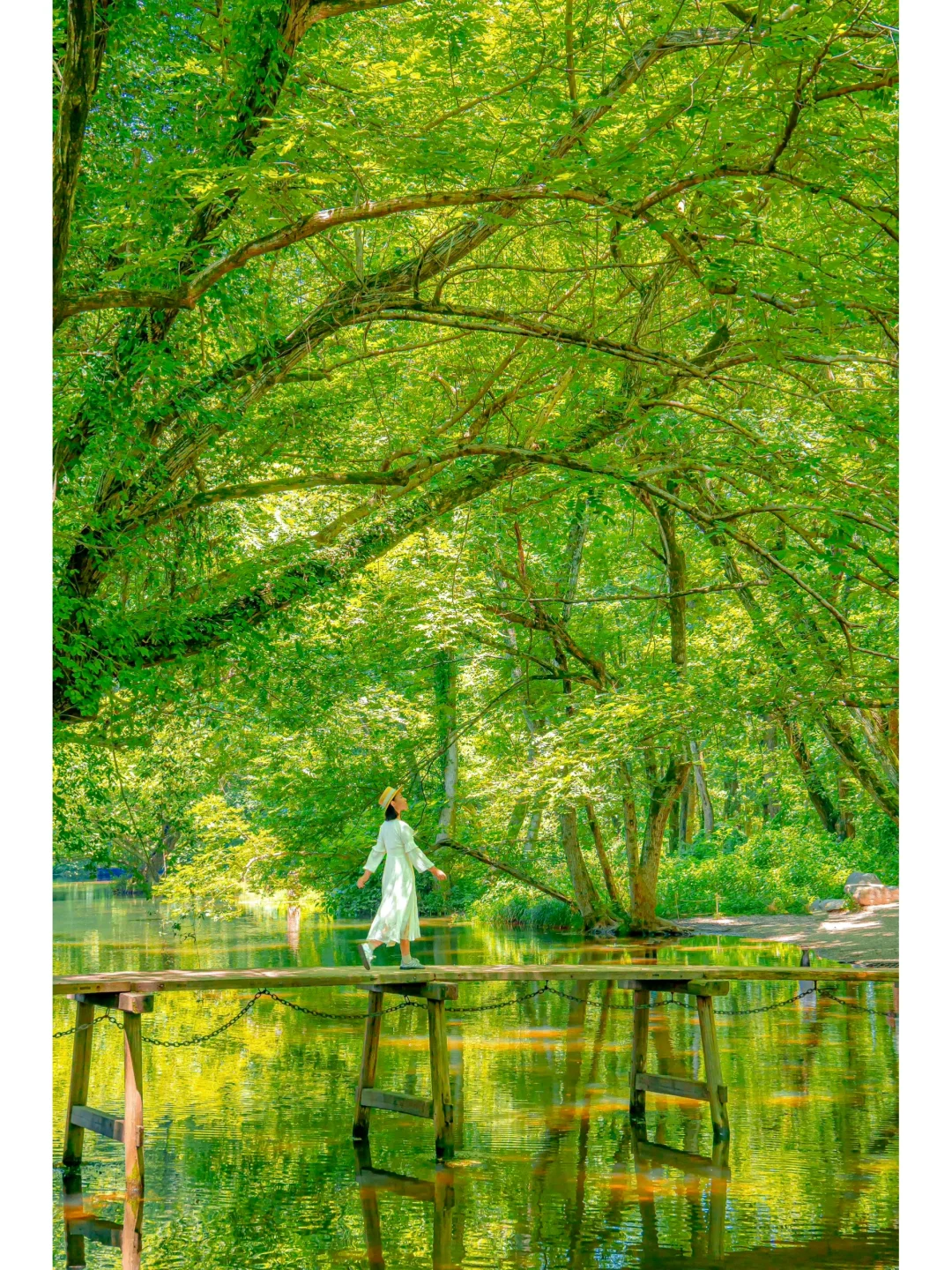 推荐❾个绝对冷门但非常治愈的宝藏旅行地🍃