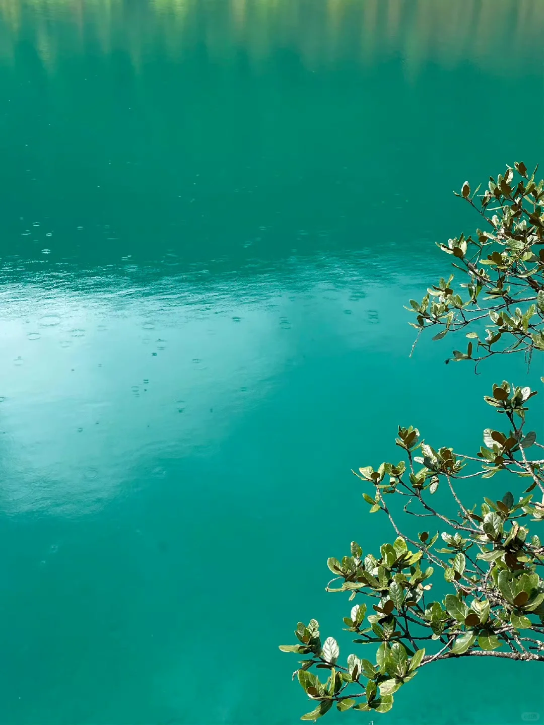 来了云南，选择半自由小团，我真的太开心啦