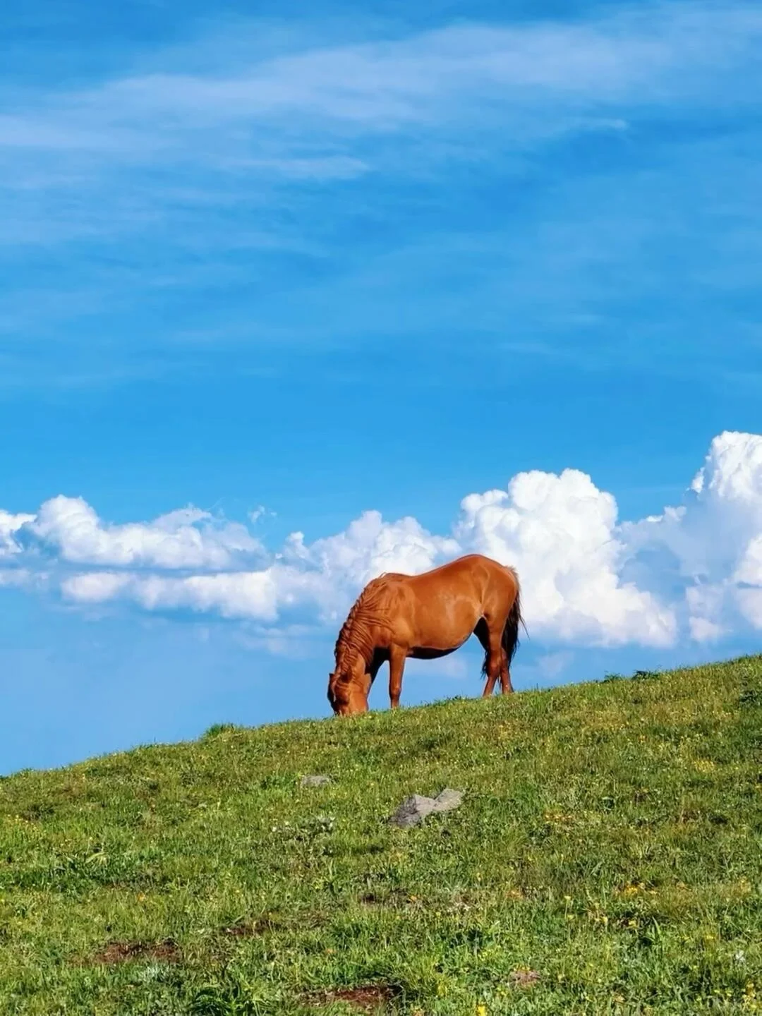 被《国家地理》评为中国最美的公路有多绝‼️