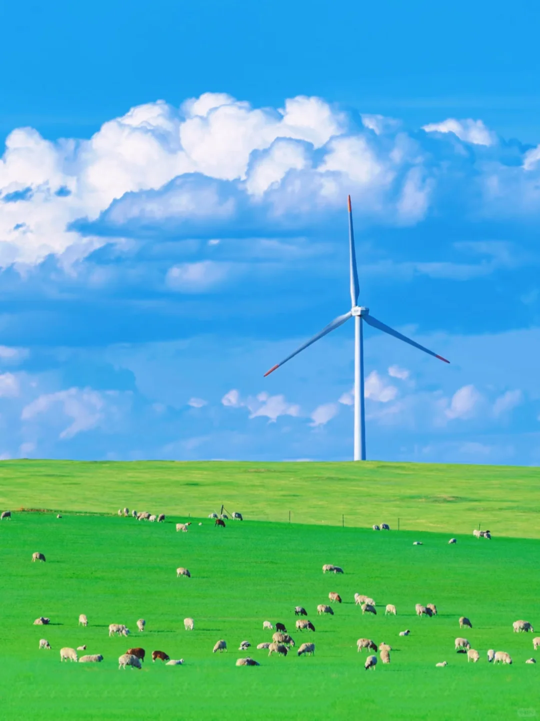 真的不是新西兰🌿是呼伦贝尔的漫画夏天