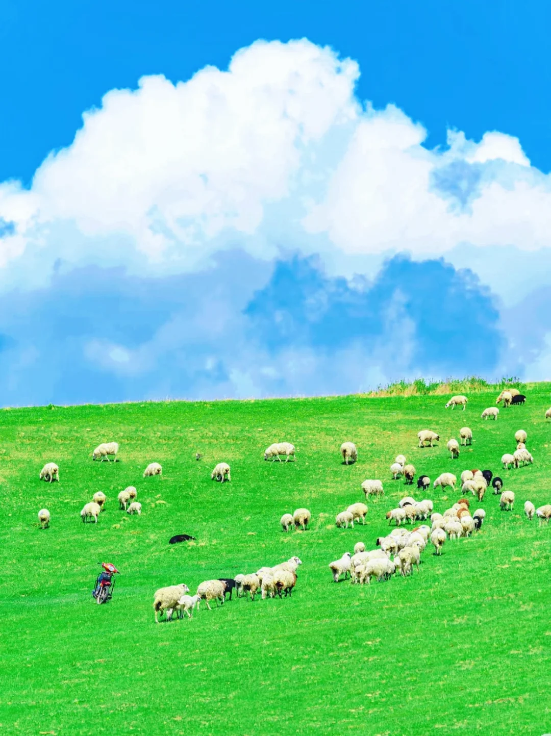 真的不是新西兰🌿是呼伦贝尔的漫画夏天