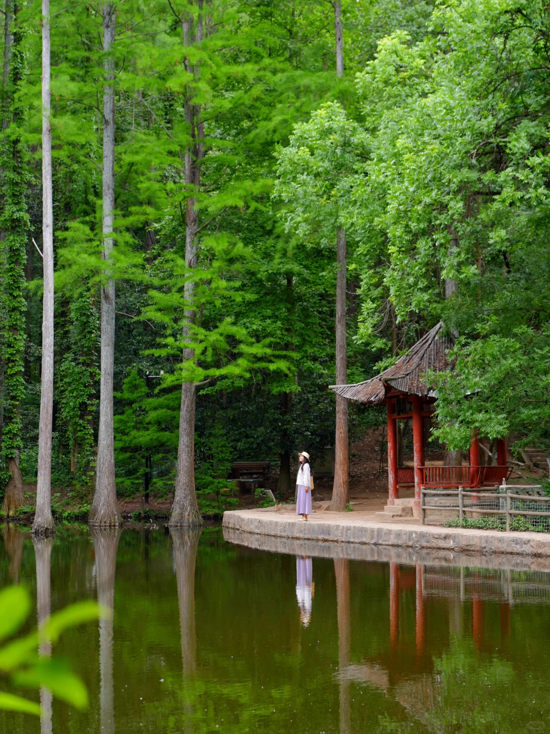 不是国外，是河南被严重低估的宝藏小城！