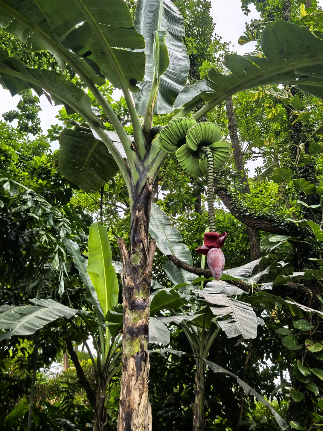 新加坡门票景点注意事项