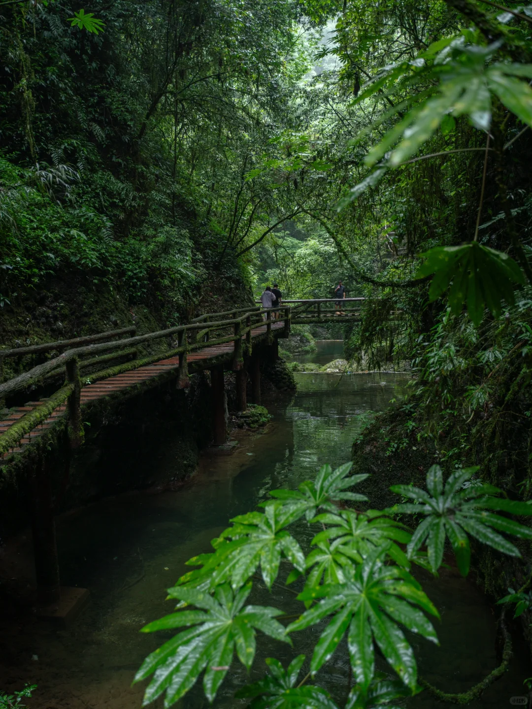 真不是游戏场景,我找到了现实版仙侠世界🌲