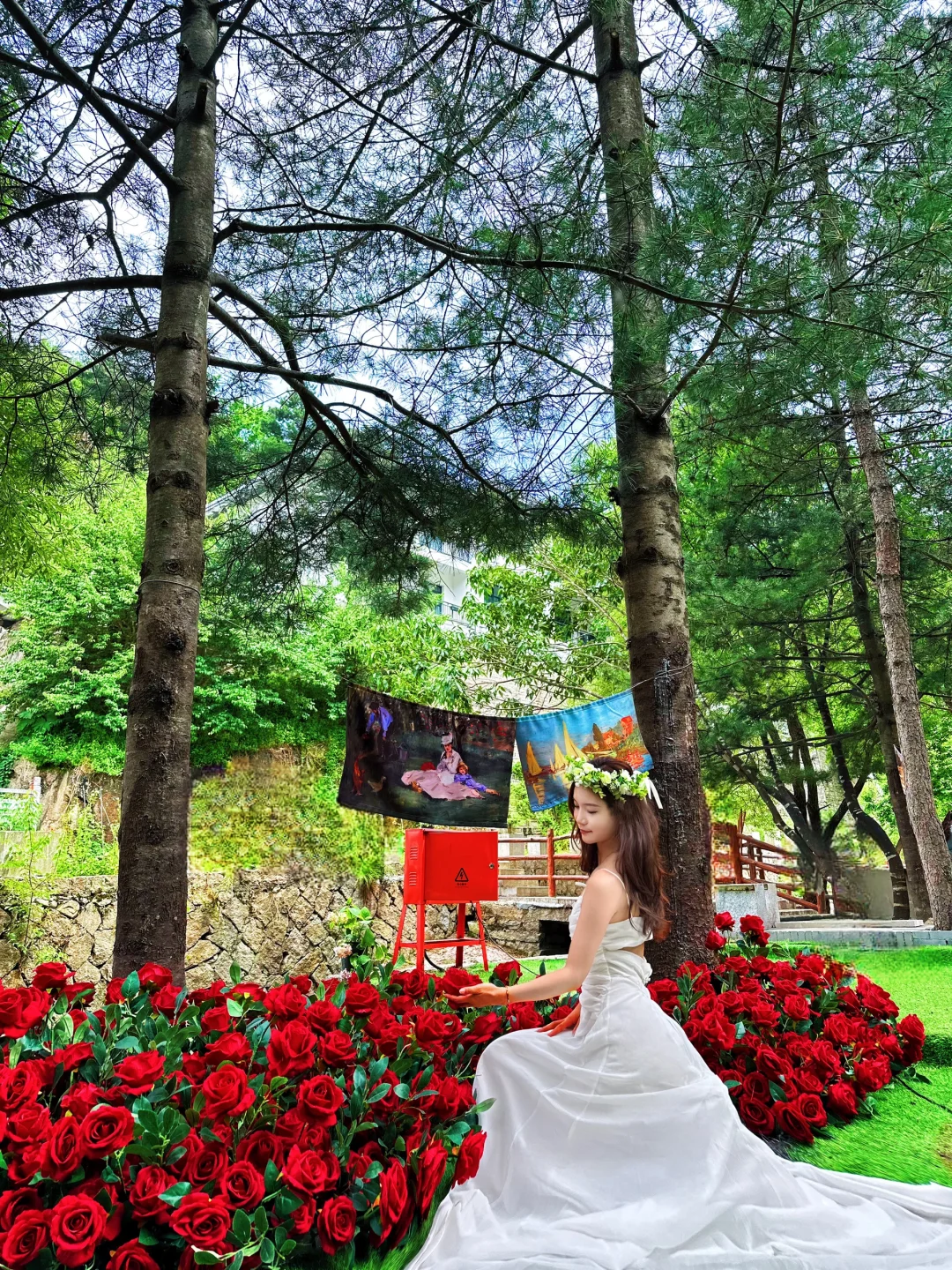 不是荷兰🇳🇱是河南!好美好浪漫啊啊啊!!!