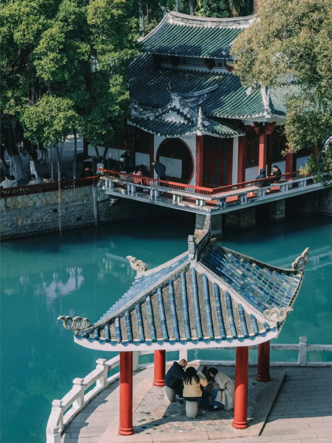 厦门旅游|鼓浪屿保姆级Citywalk路线