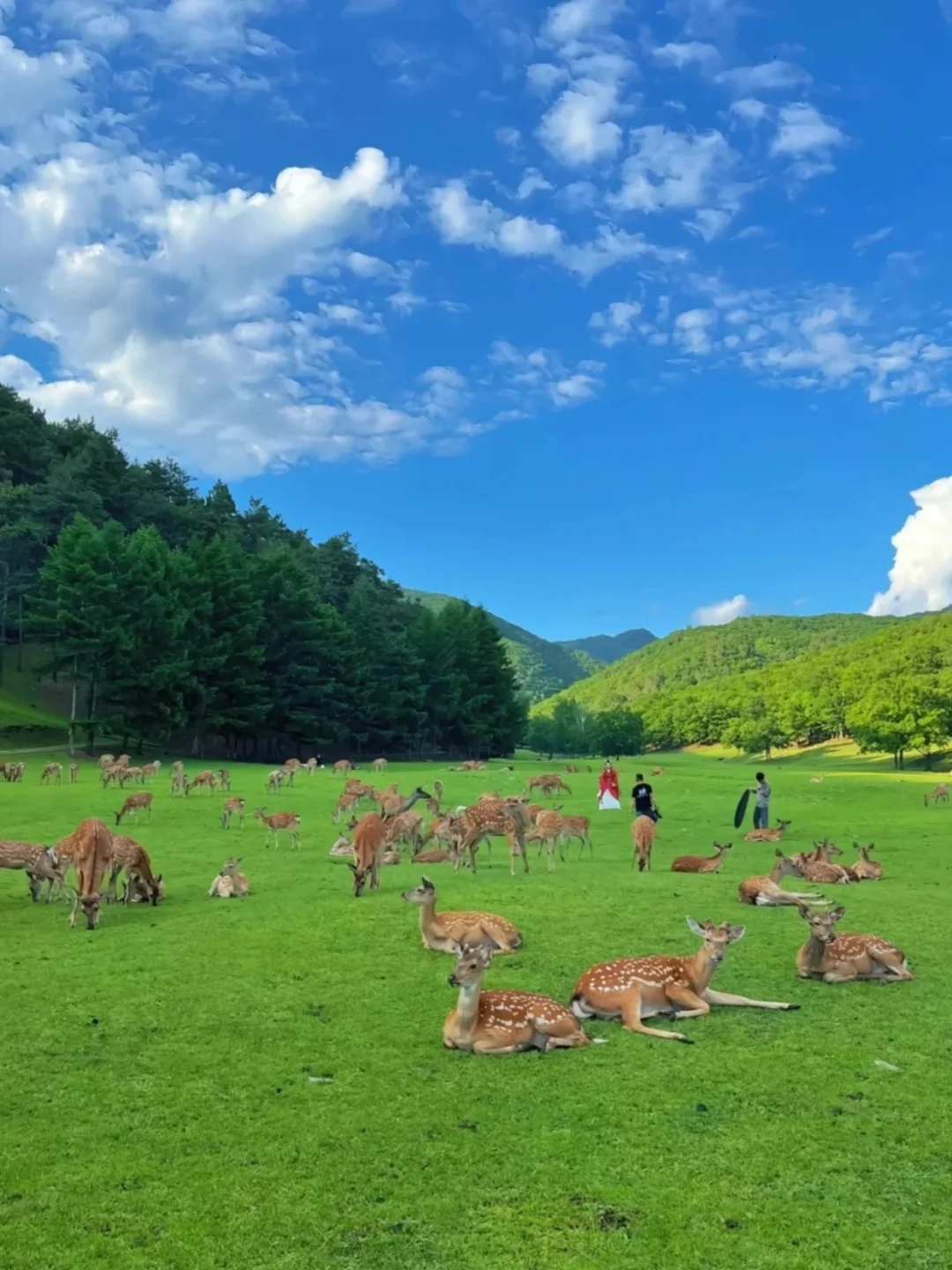 伊春旅游攻略！来了不踩雷！