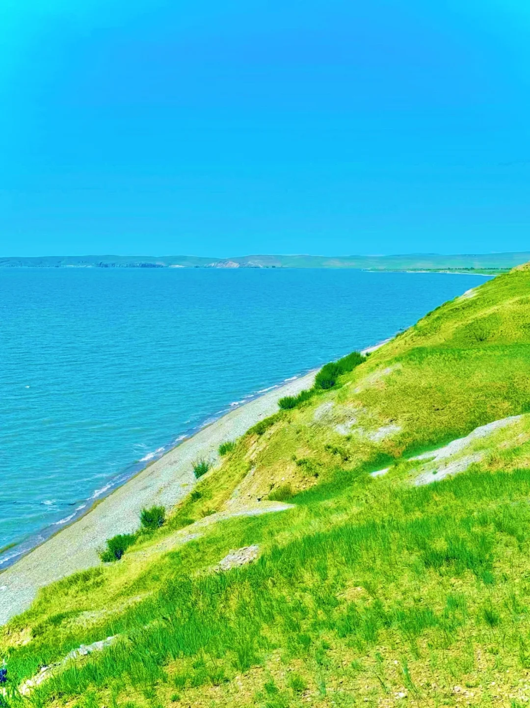 真的不是新西兰🌿是呼伦贝尔的漫画夏天