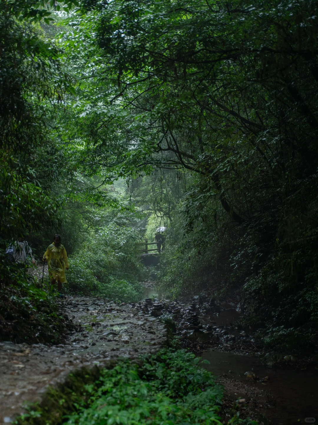 真不是游戏场景,我找到了现实版仙侠世界🌲