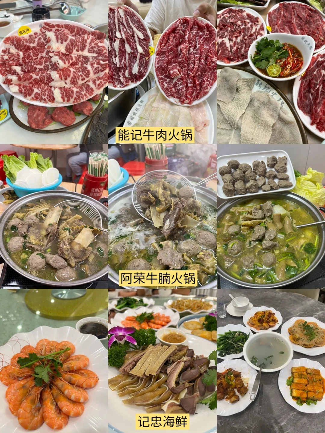 本J人对自己做的汕尾攻略满意到睡不着❗❗