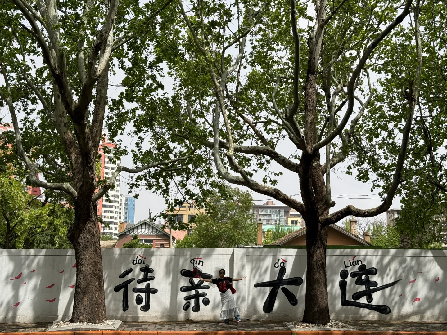 大连四天三晚 懒人版