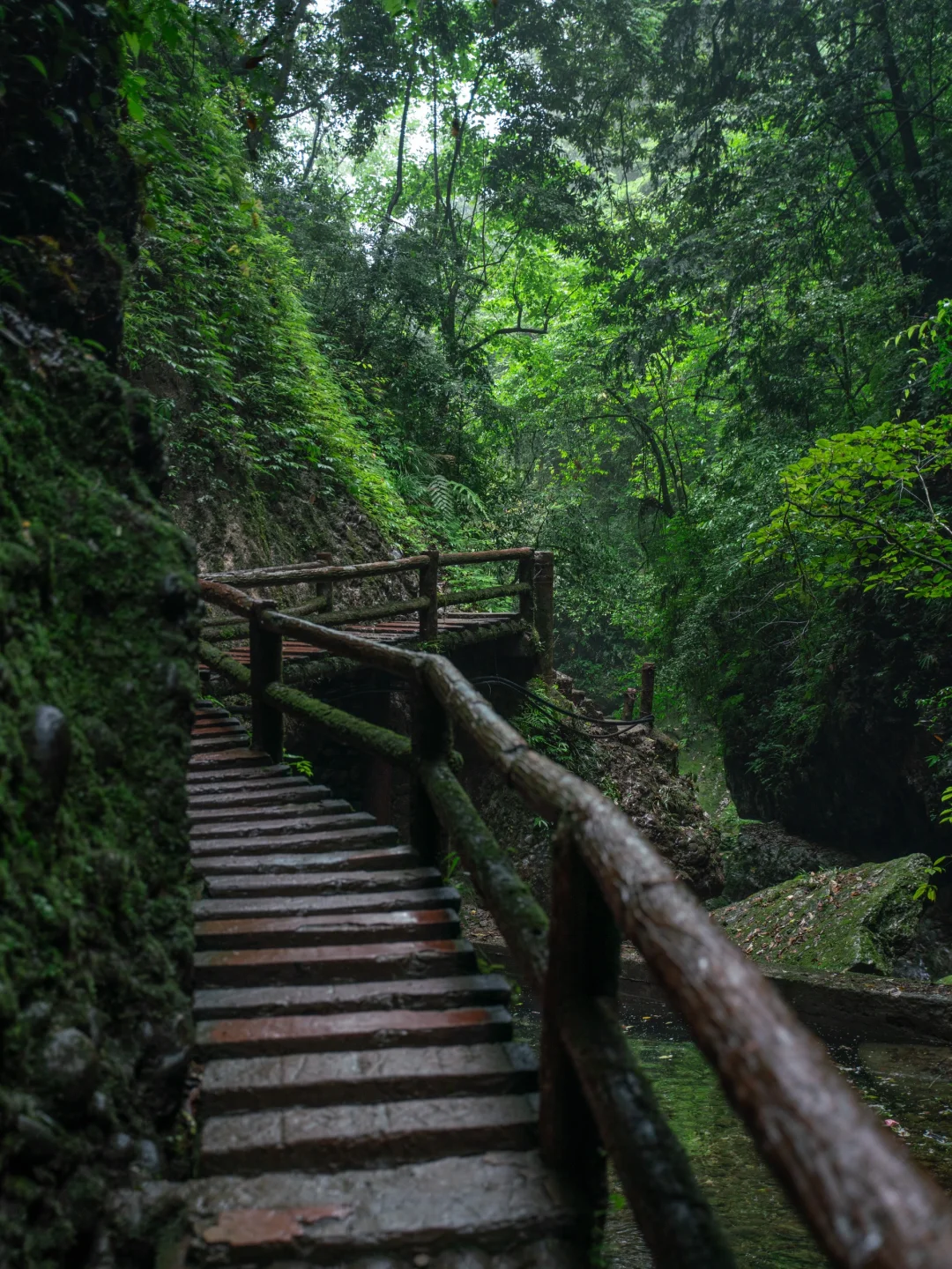 真不是游戏场景,我找到了现实版仙侠世界🌲