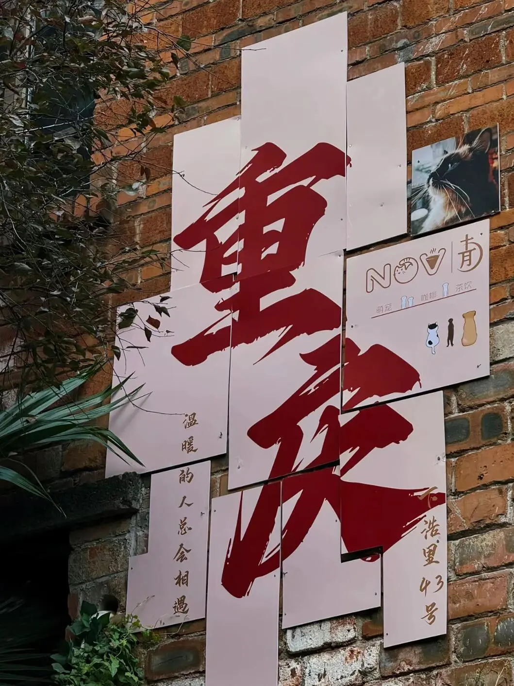 山城的浪漫永不停歇🌹