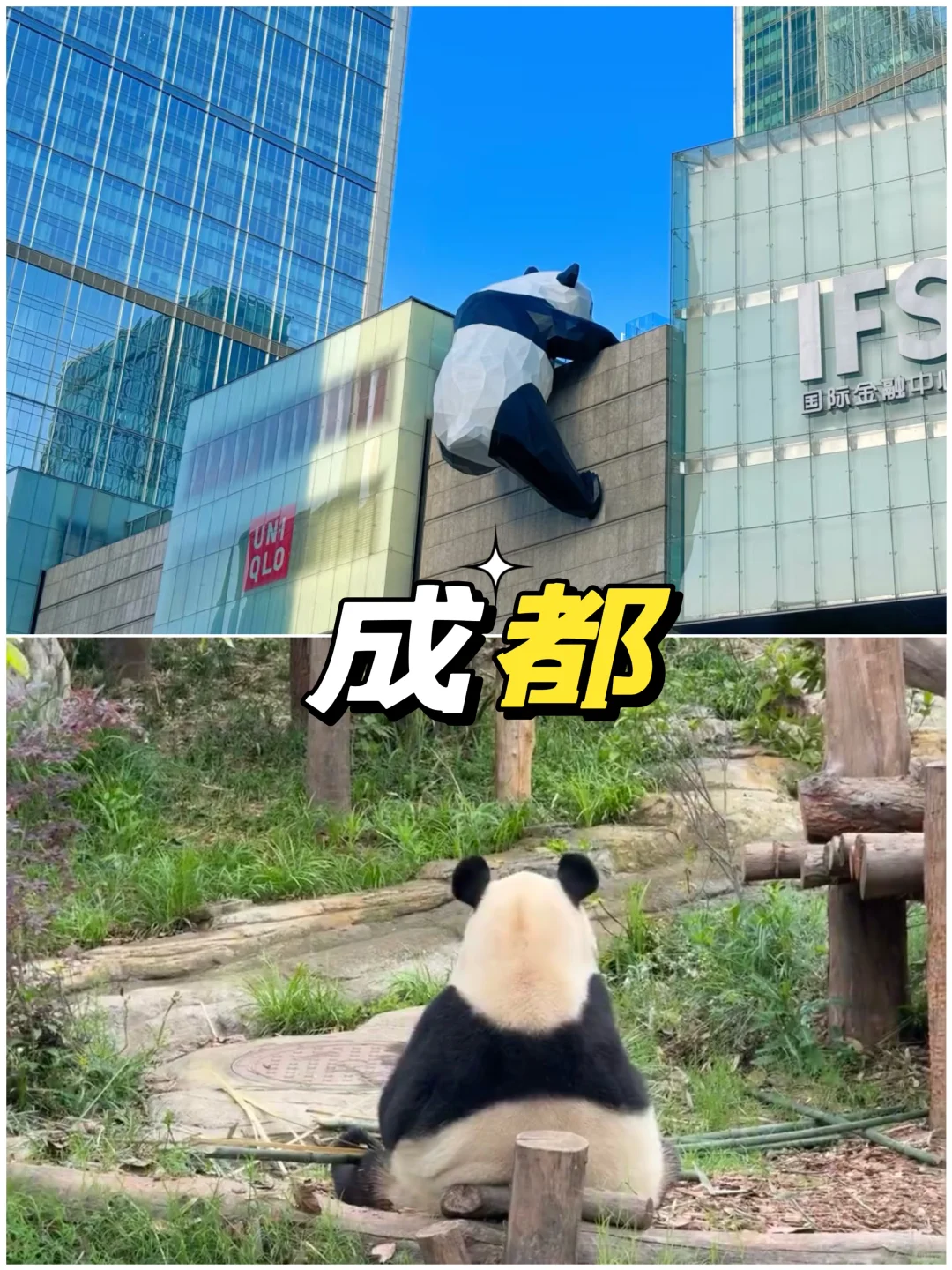 5-6月自由行清单！7座宝藏城市直接美哭