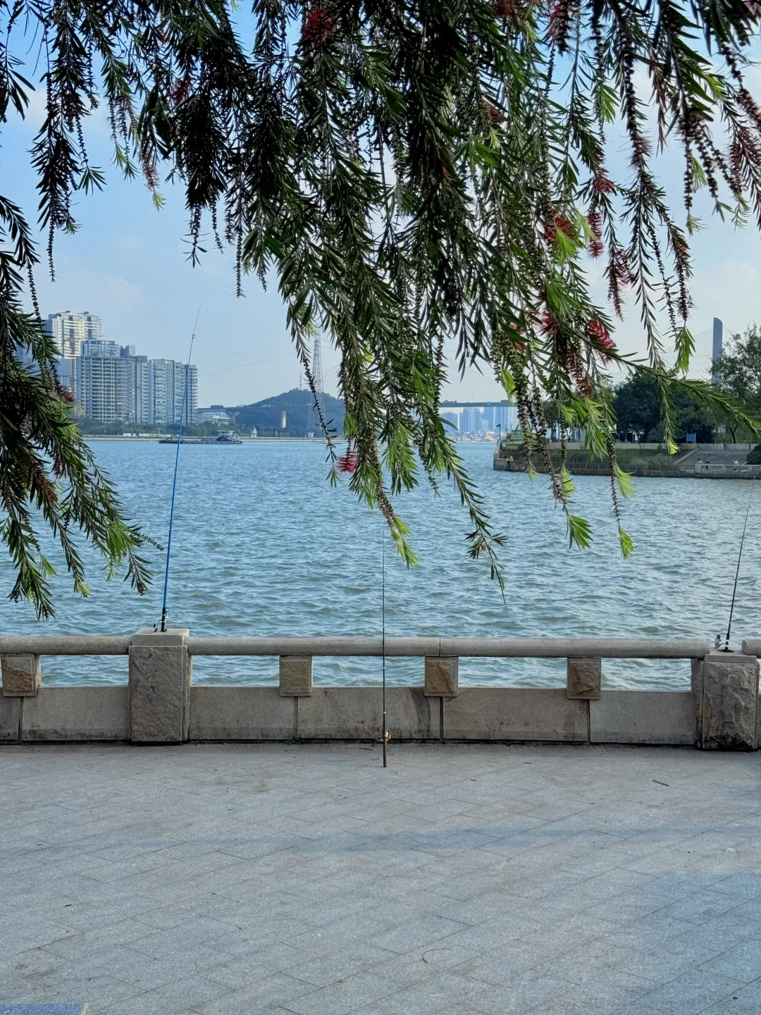 广州地铁直达……是我疲惫生活里的解药🌊