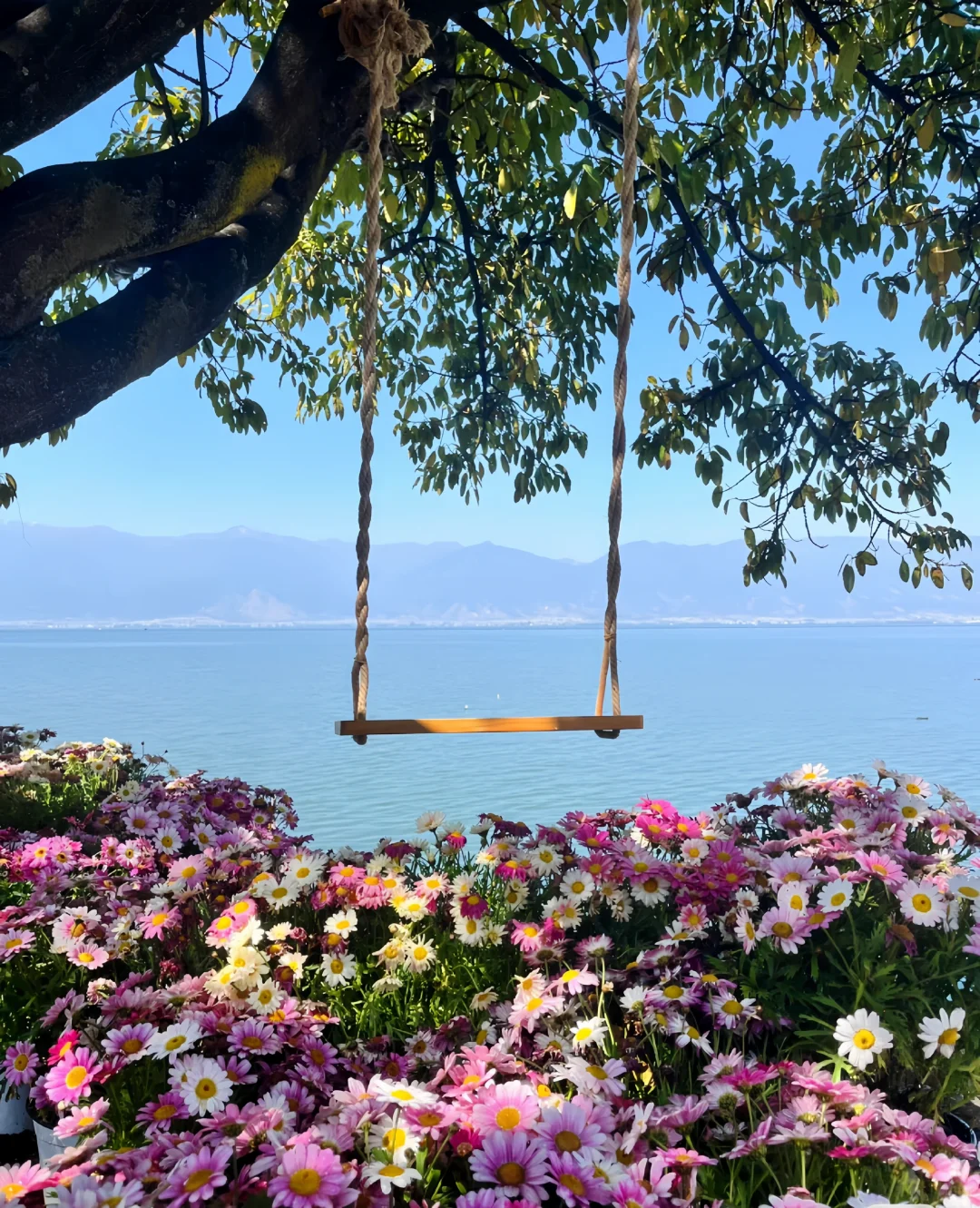 大理海畔梦幻之旅 | 超全旅游攻略✨