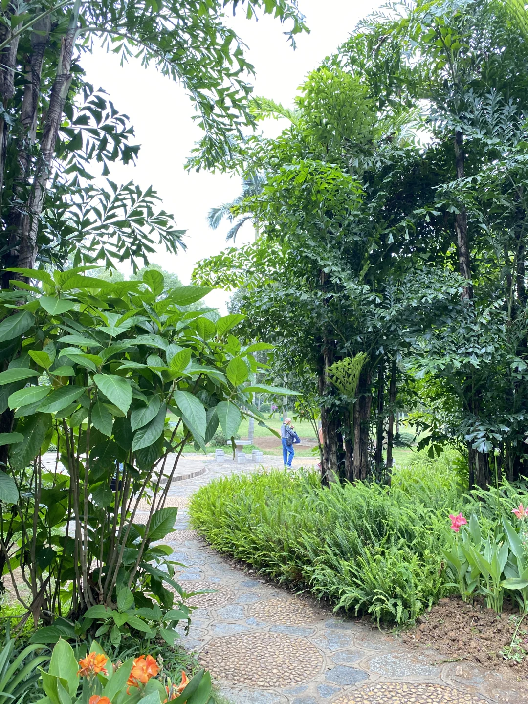 柳州旅游攻略：记得尝试爽神香鲜螺蛳粉