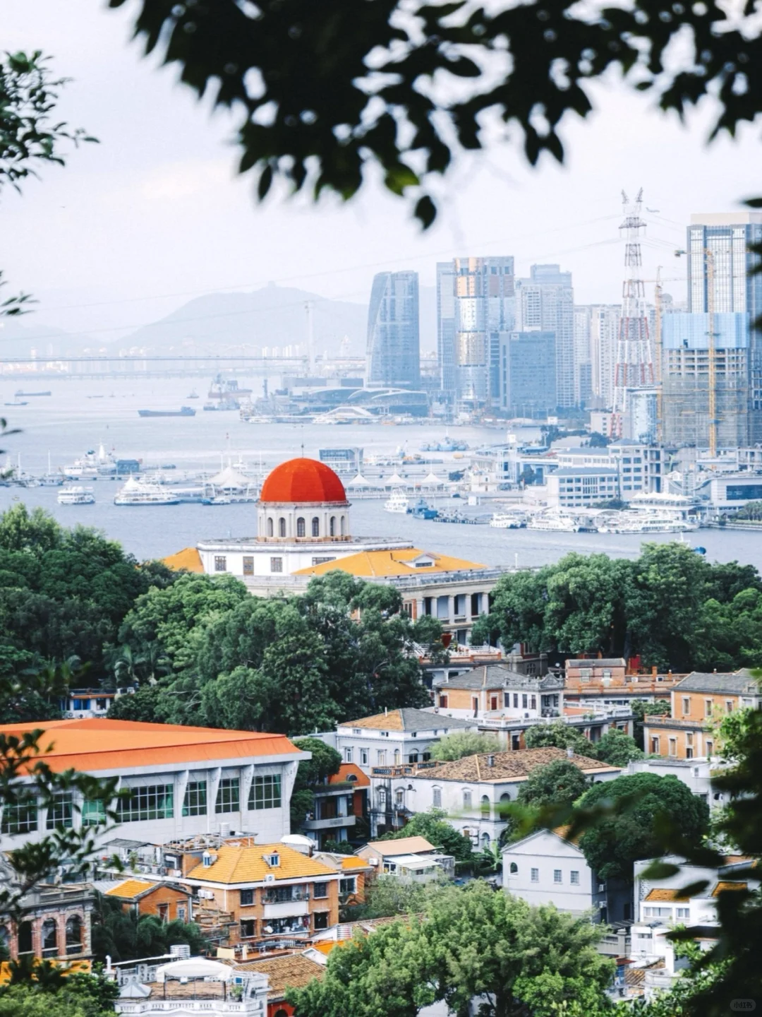 厦门旅游|鼓浪屿保姆级Citywalk路线