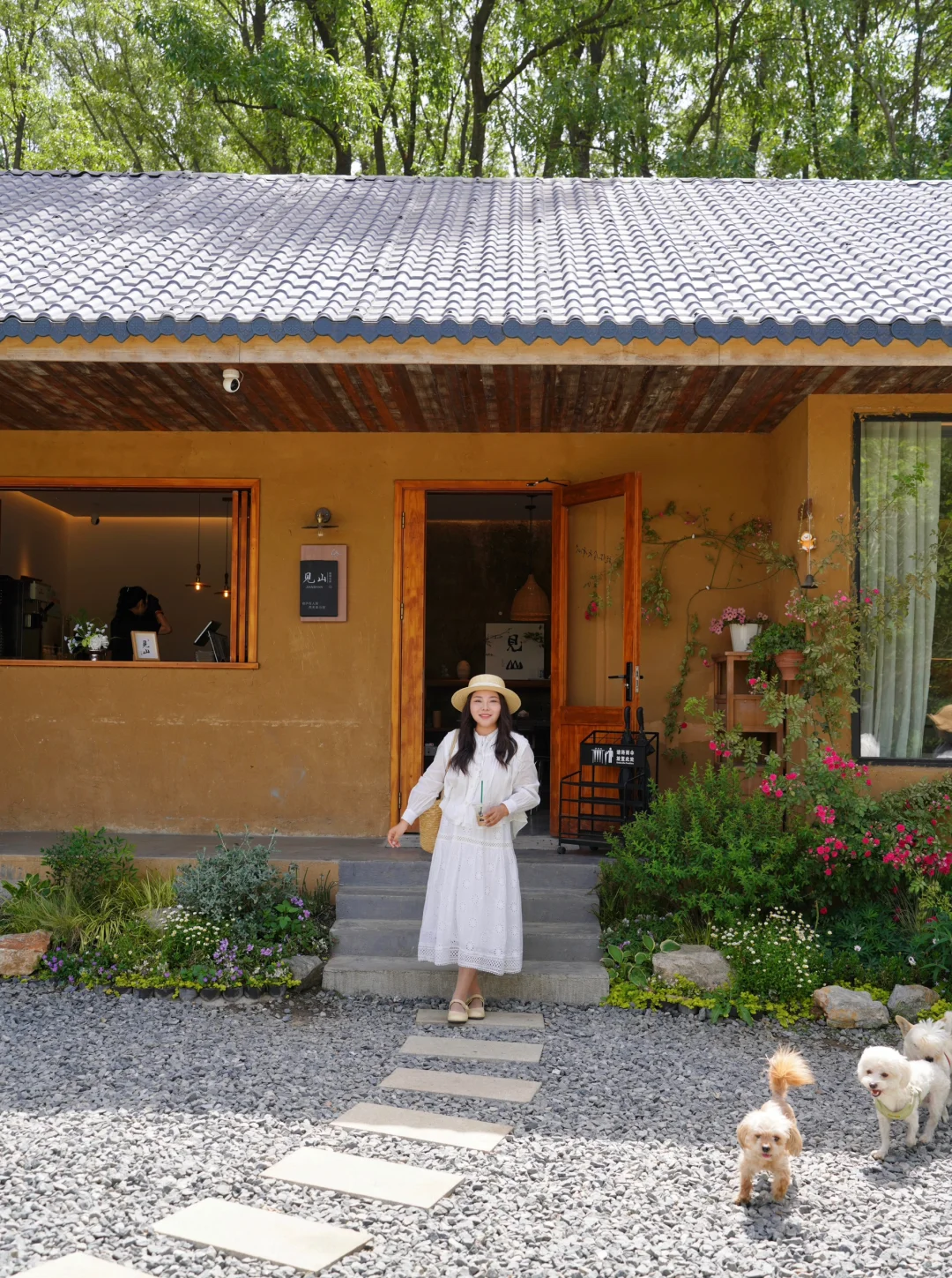 不是国外，是河南被严重低估的宝藏小城！