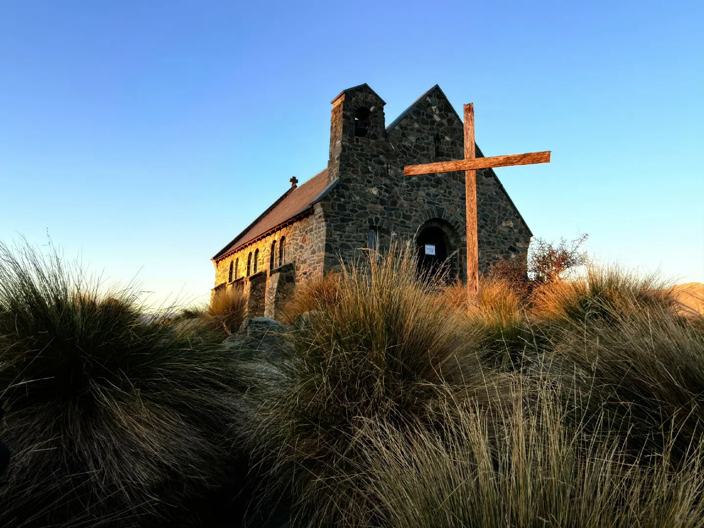 强烈推荐我报的新西兰小团（和爸妈一起）