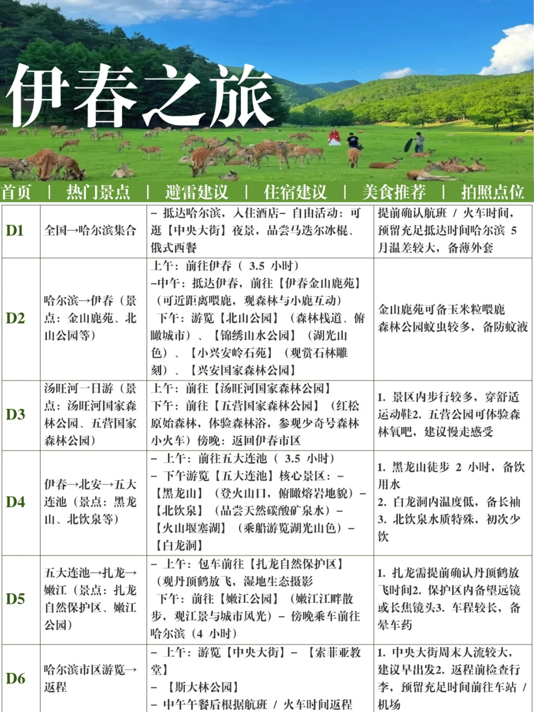 伊春旅游攻略！来了不踩雷！