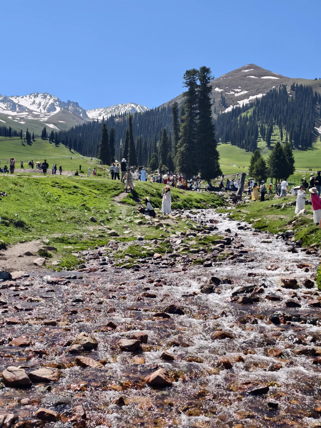 5月17日新疆那拉提，真的很治愈