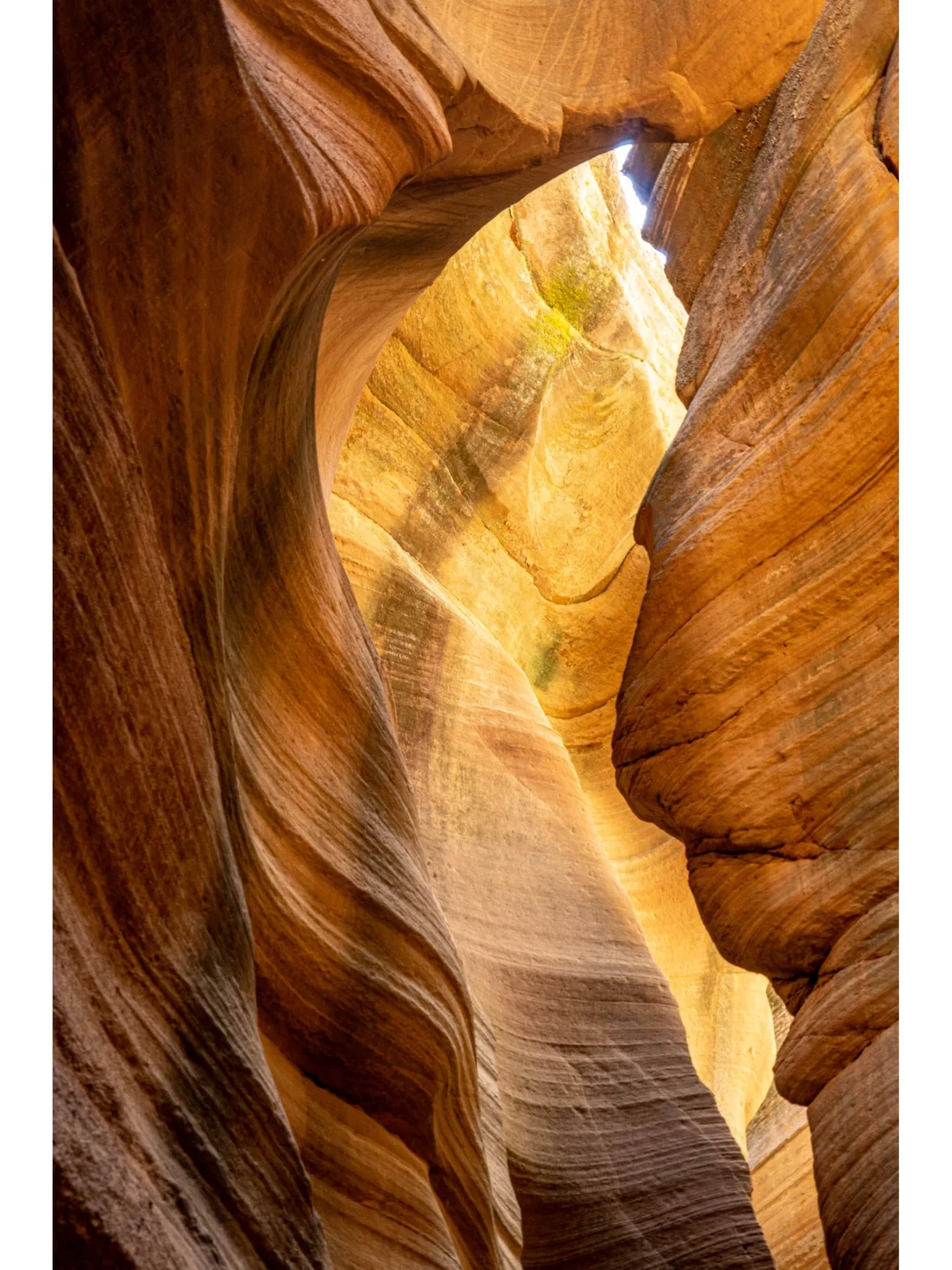 推荐❾个绝对冷门但非常治愈的宝藏旅行地🍃