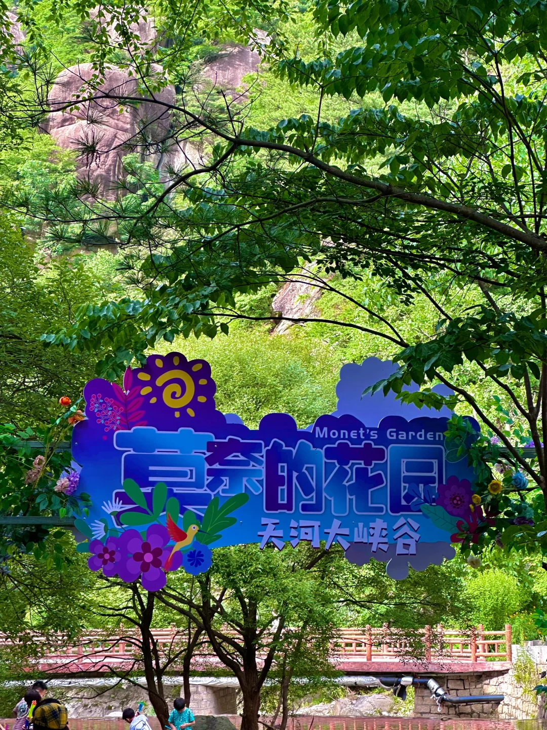 不是荷兰🇳🇱是河南!好美好浪漫啊啊啊!!!