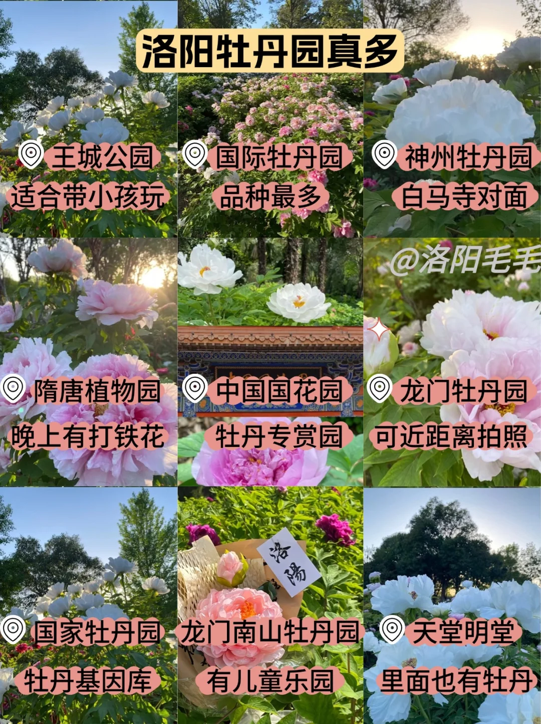 洛阳旅游超全避坑攻略！