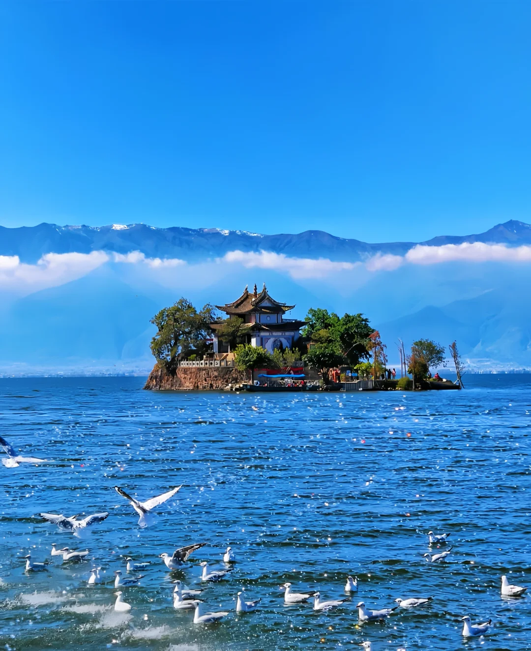 大理海畔梦幻之旅 | 超全旅游攻略✨