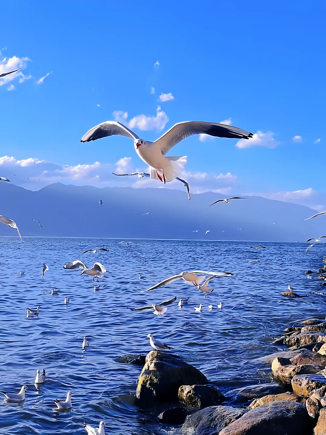 大理海畔梦幻之旅 | 超全旅游攻略✨