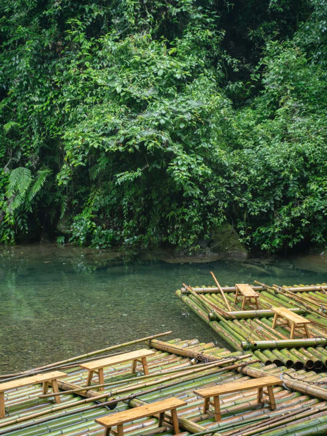 真不是游戏场景,我找到了现实版仙侠世界🌲