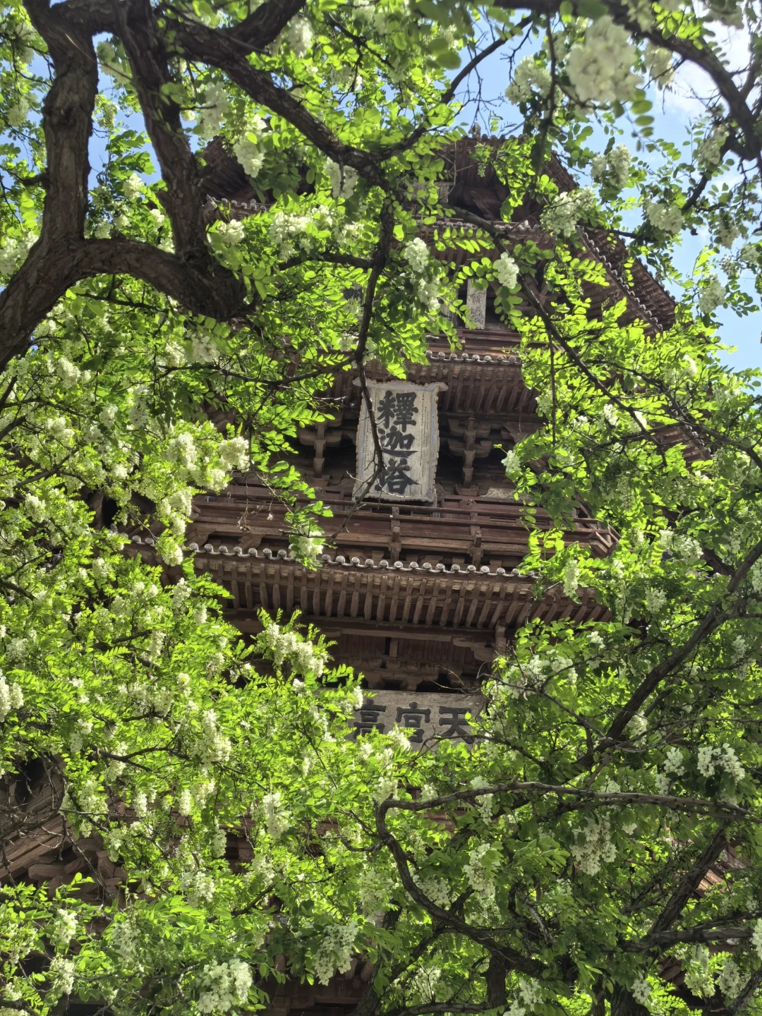 一个人的旅行记录