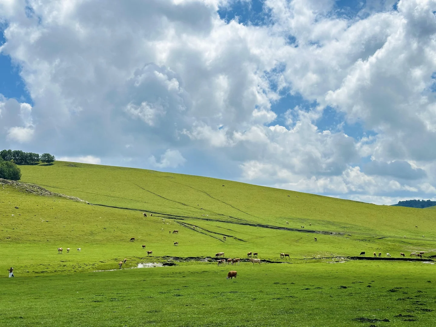 被《国家地理》评为中国最美的公路有多绝‼️