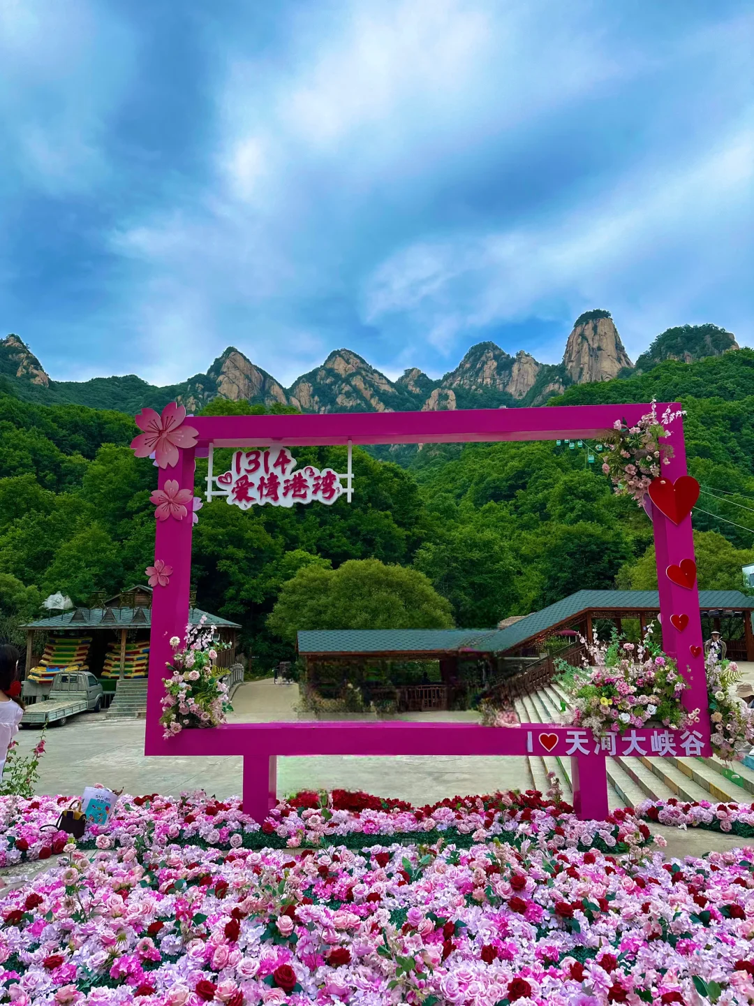 不是荷兰🇳🇱是河南!好美好浪漫啊啊啊!!!