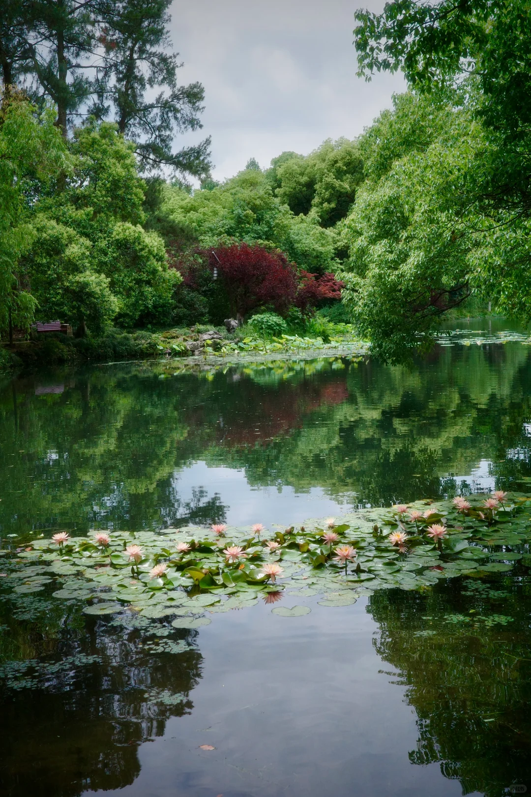 周末|需要点静谧与绿意🍃