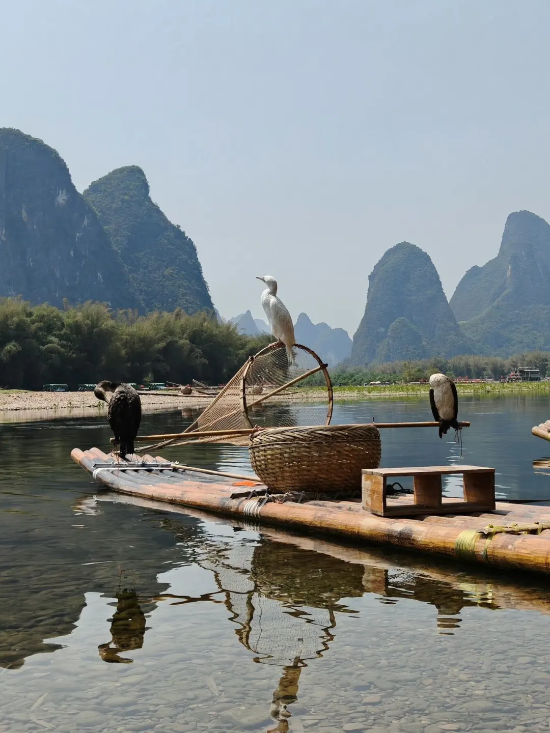 2人桂林被宰已回，全是真实教训啊😭