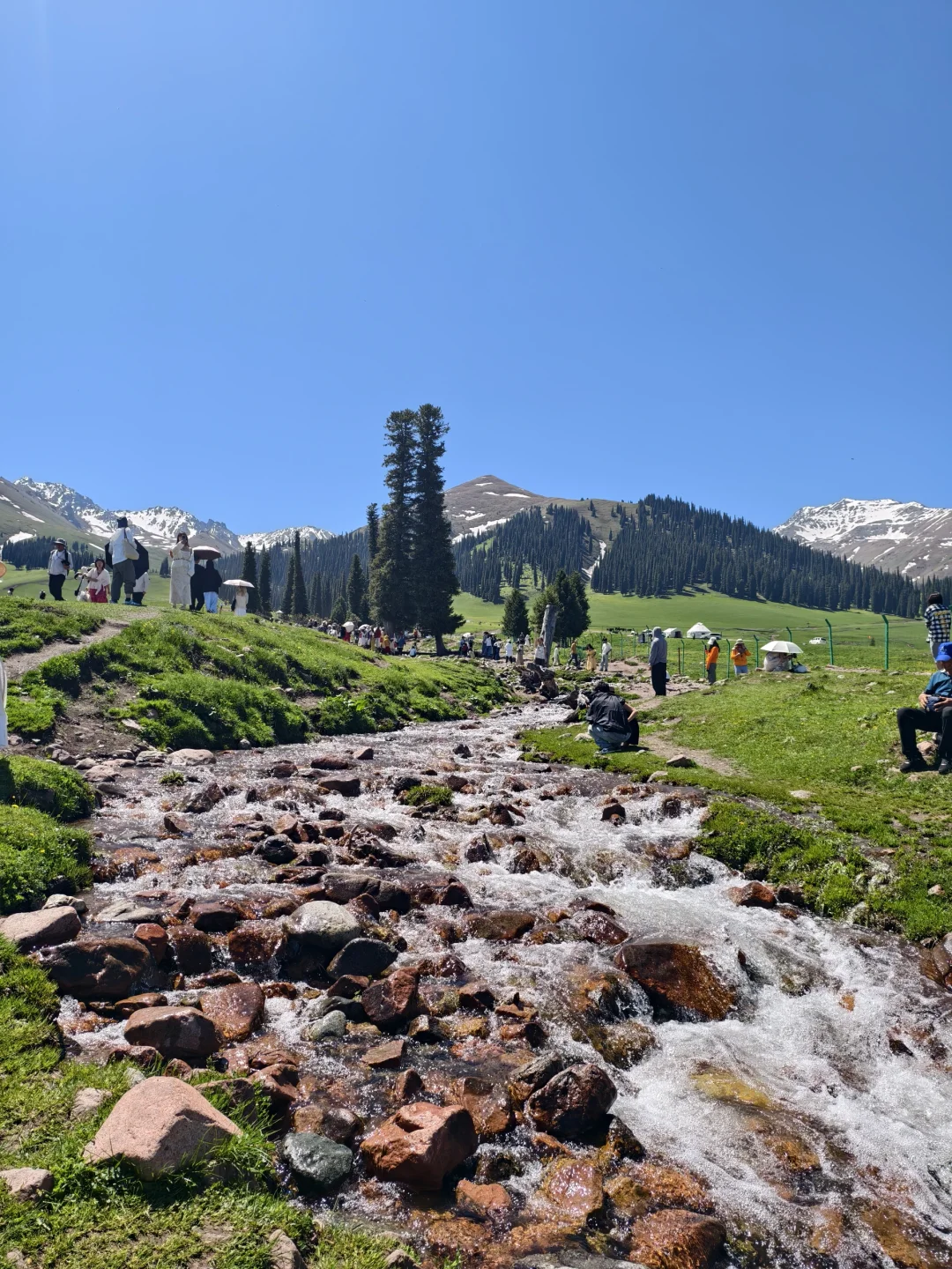 5月17日新疆那拉提，真的很治愈