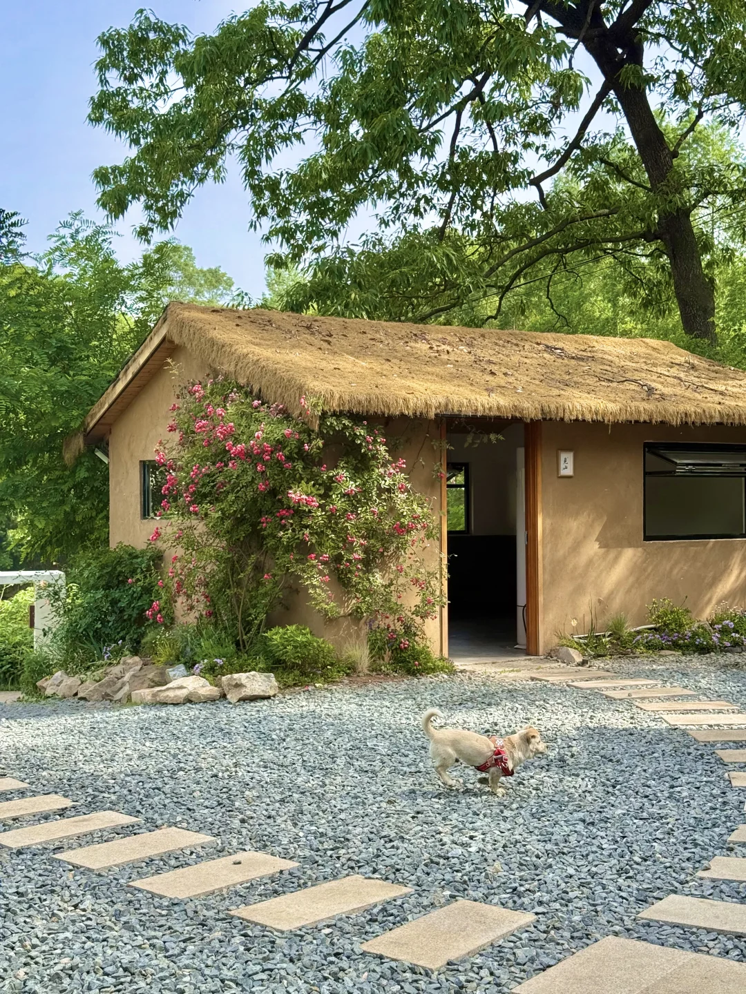 不是国外，是河南被严重低估的宝藏小城！