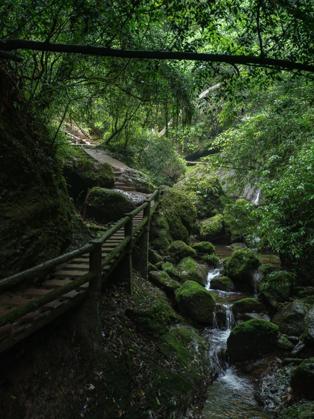真不是游戏场景,我找到了现实版仙侠世界🌲