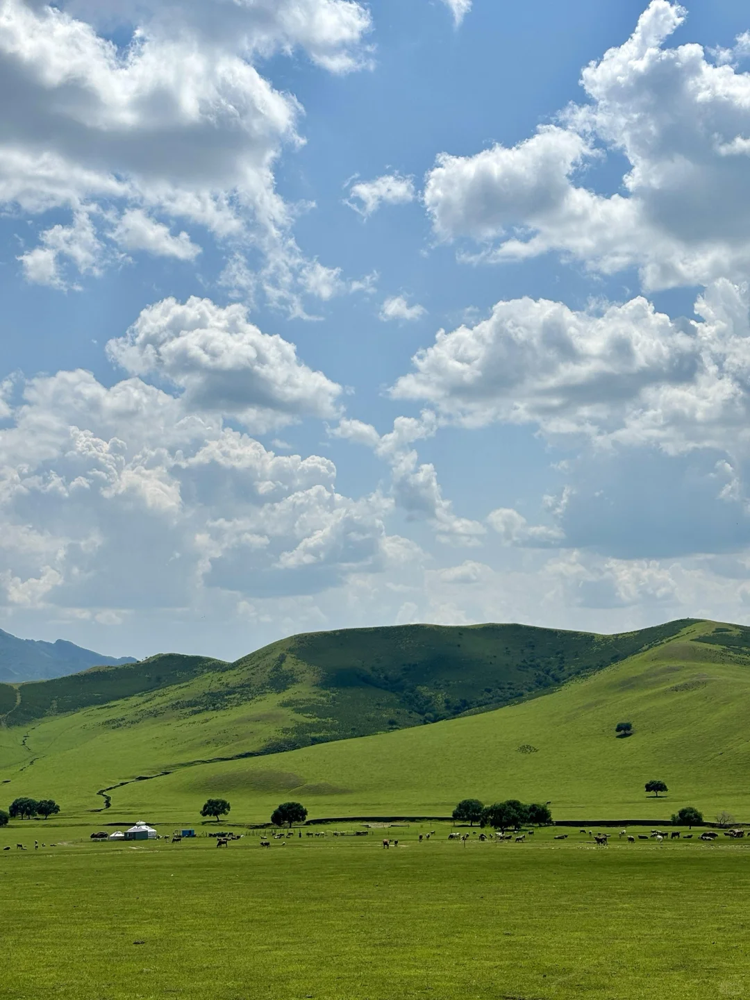 被《国家地理》评为中国最美的公路有多绝‼️