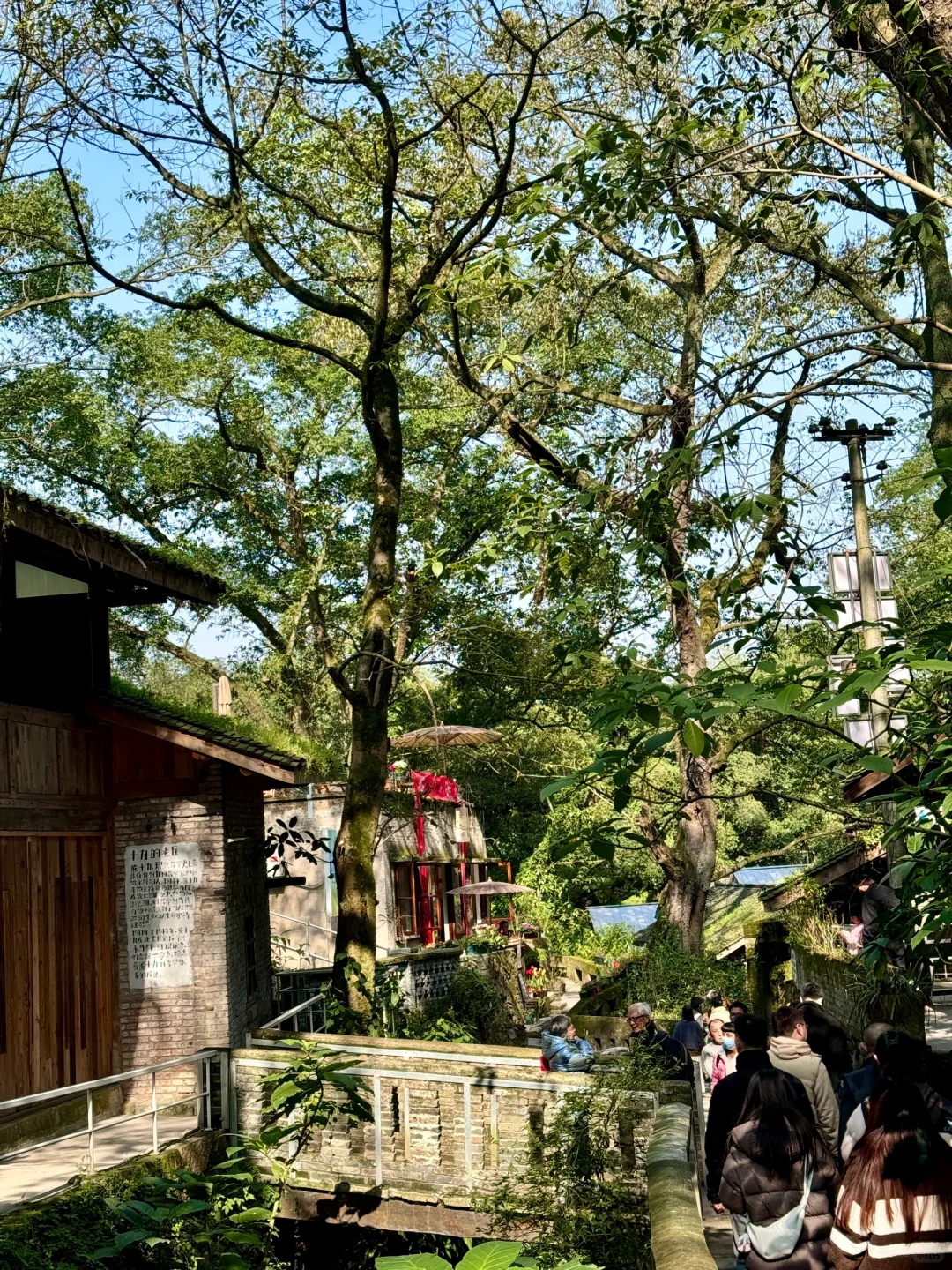 不是大理！！是重庆！！重庆！！治愈力+10000