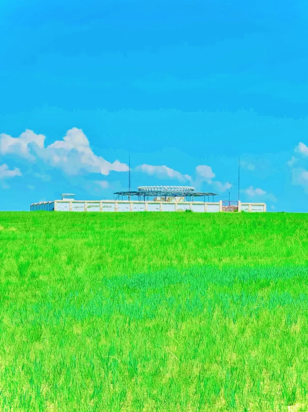 真的不是新西兰🌿是呼伦贝尔的漫画夏天