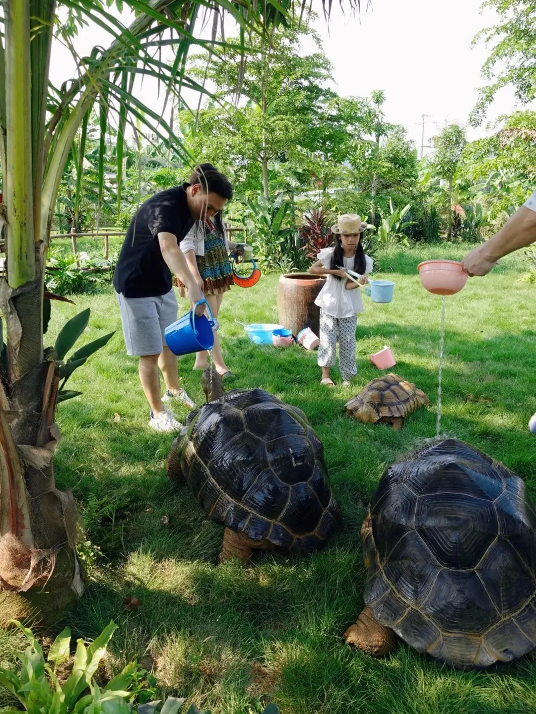 暑假和老公去了崇左，真的比新西兰还震撼！