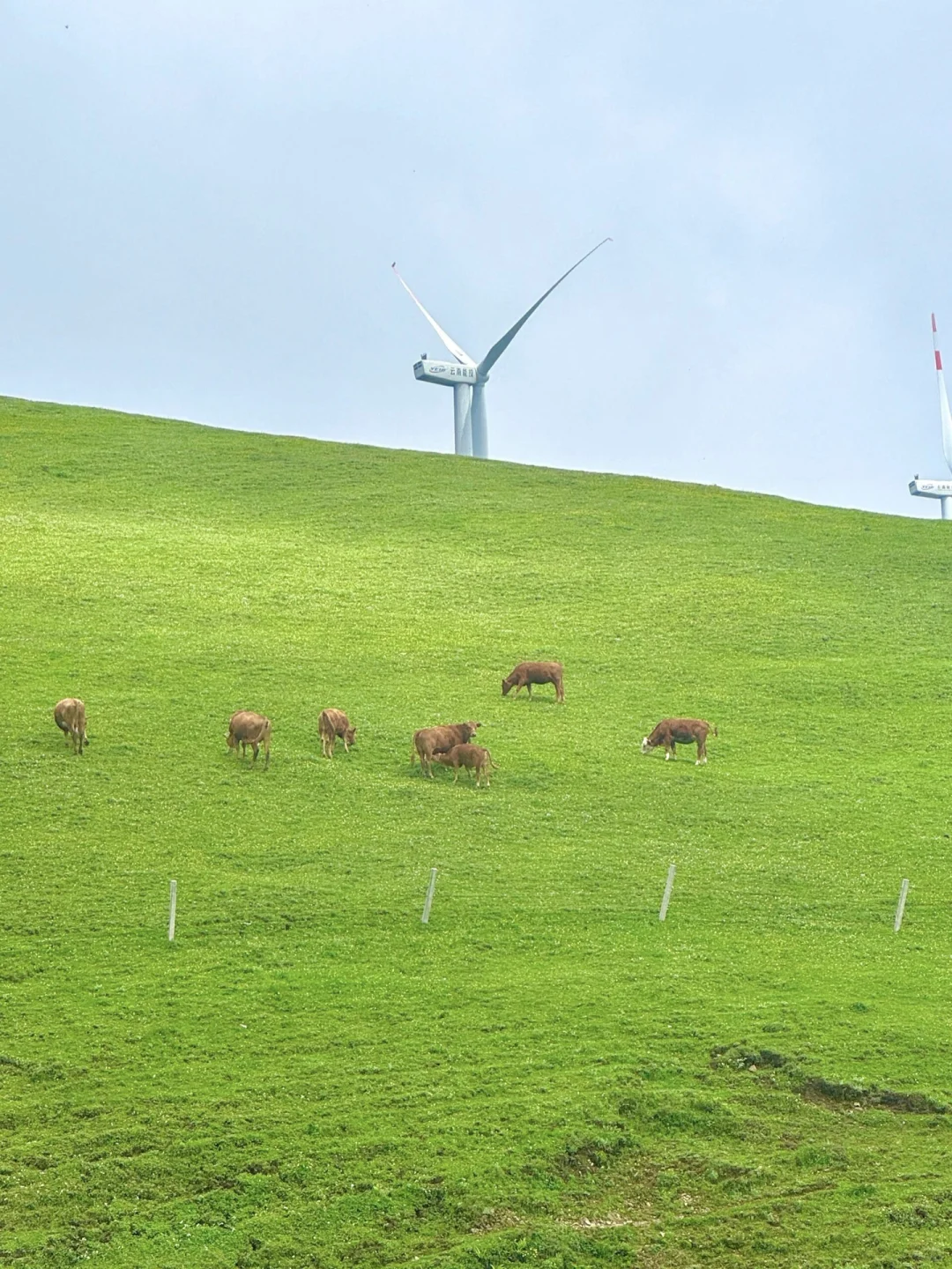 被《国家地理》评为中国最美的公路有多绝‼️