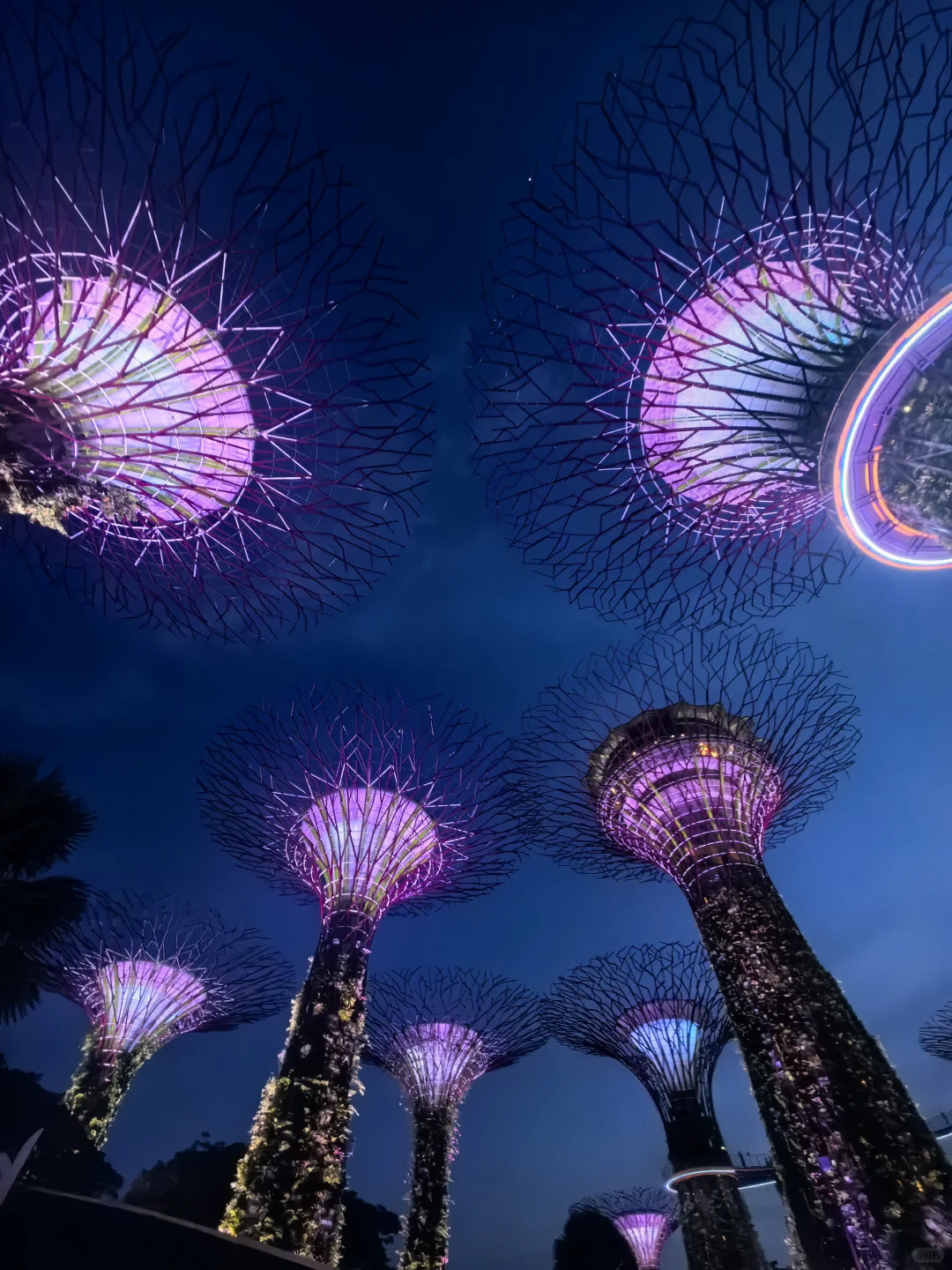 新加坡门票景点注意事项